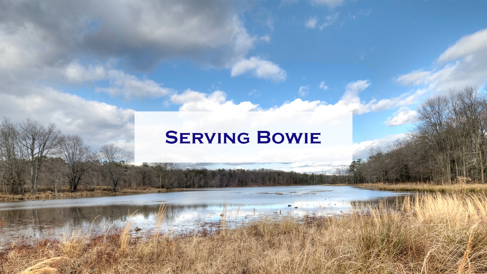 Entry level Sales Marketing Job Opportunities Bowie